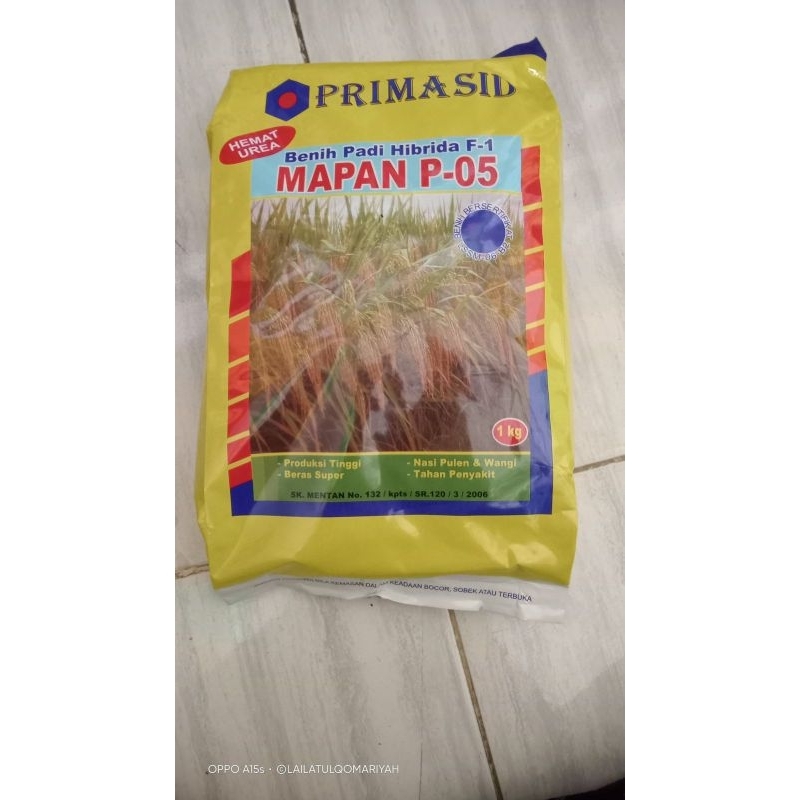 benih padi mapan p-05 original/padi hibrida mapan p-05