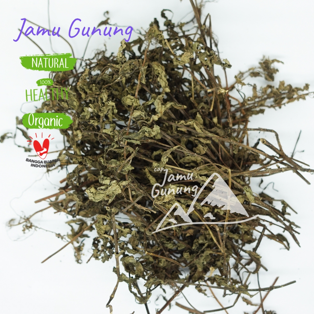 

Daun Mint 100gr Kering Organik dan Asli