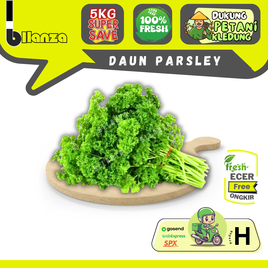 

Bllanza | Daun Parsley — Sahabat Makan Sayur ECER (H)