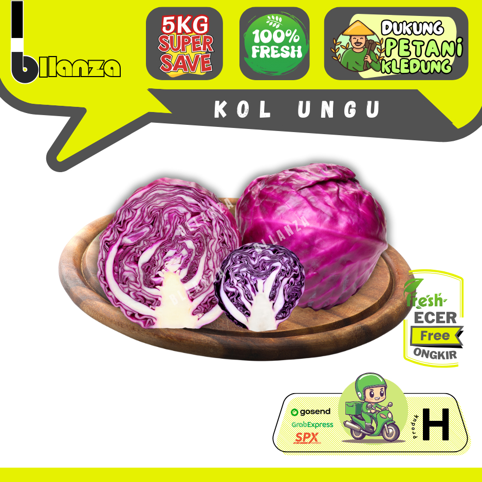 

Bllanza | Kol Ungu — Sahabat Makan Sayur ECER (H)