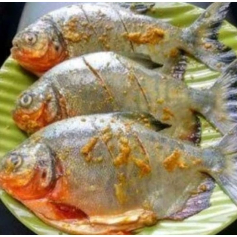 

Bawal Bumbu Kuning 500gr