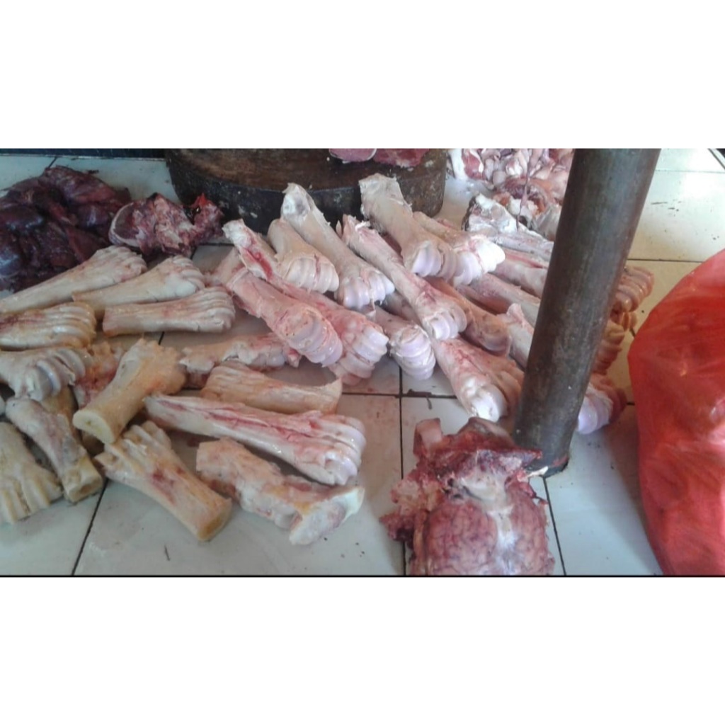 

SUMSUM KAKI SAPI
