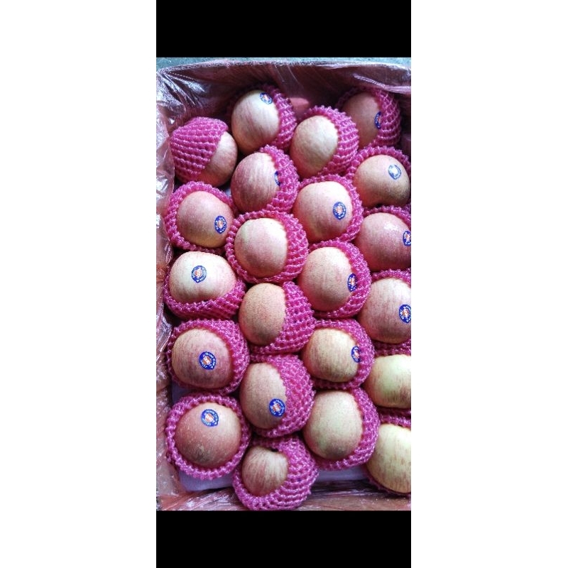 

Buah Apel fuji murah harga grosir /kg