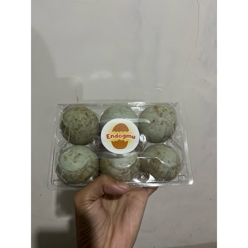 

TELUR BEBEK