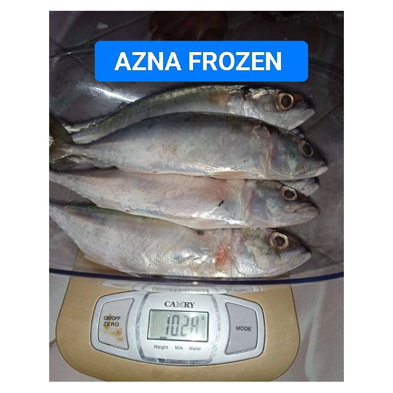 

Ikan Kembung Segar Beku 1kg