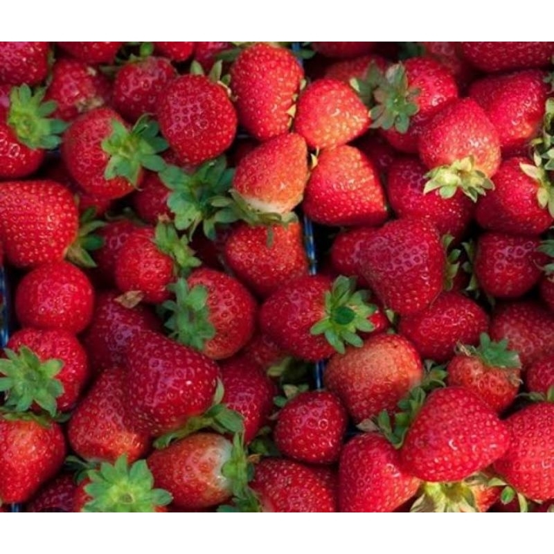 

stoberi manis dan fresh