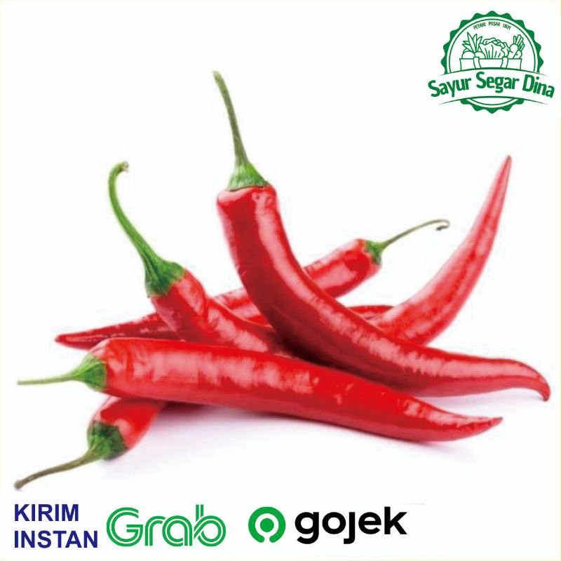 

Cabai Merah Besar