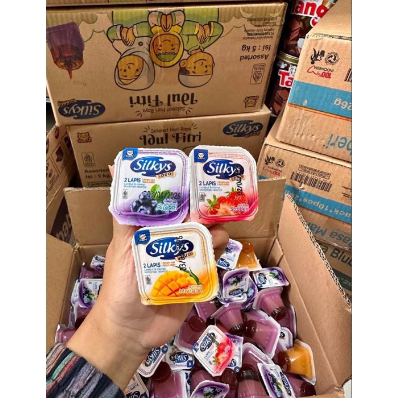 

Silky Pudding 1 Karton 5 Kg