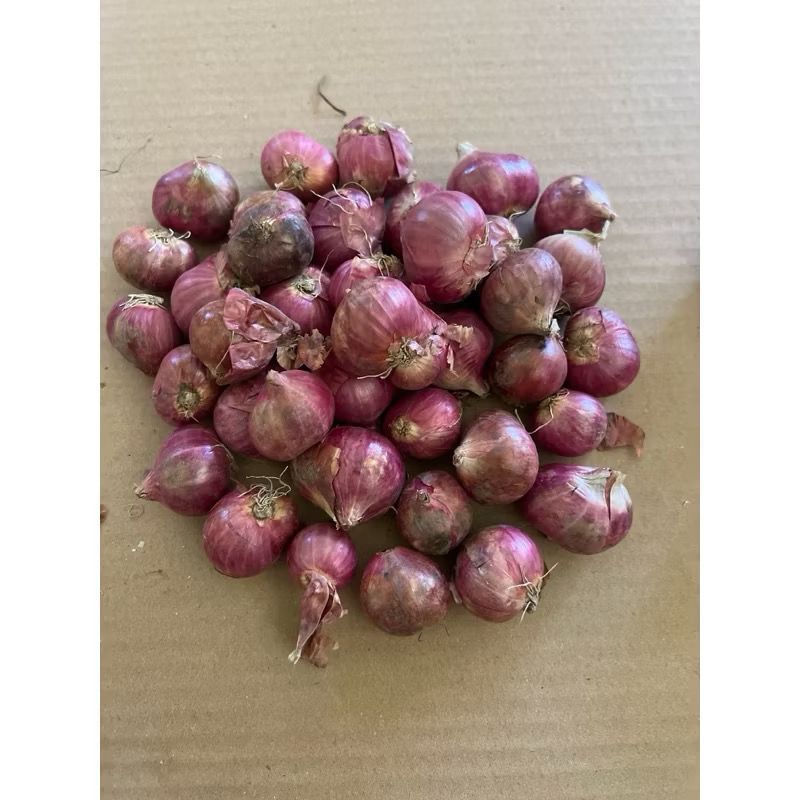 

PAKET BAWANG MERAH-BAWANG PUTIH 1/2KG