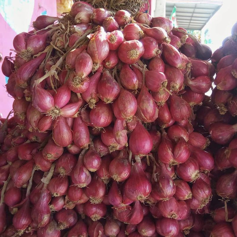 

bawang merah 500gr kwalitas terbaik