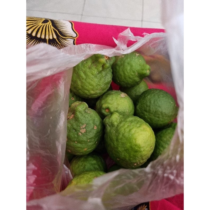 

Jeruk purut segar/ Jeruk herbal/ Jeruk purut fresh