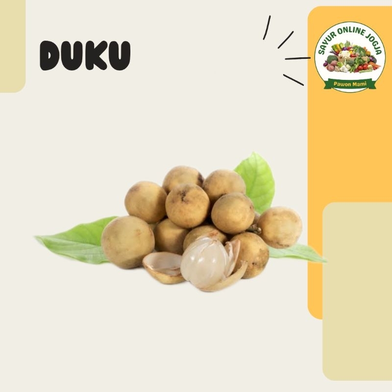 

Duku 500gr - PAWON MAMI SAYUR ONLINE JOGJA