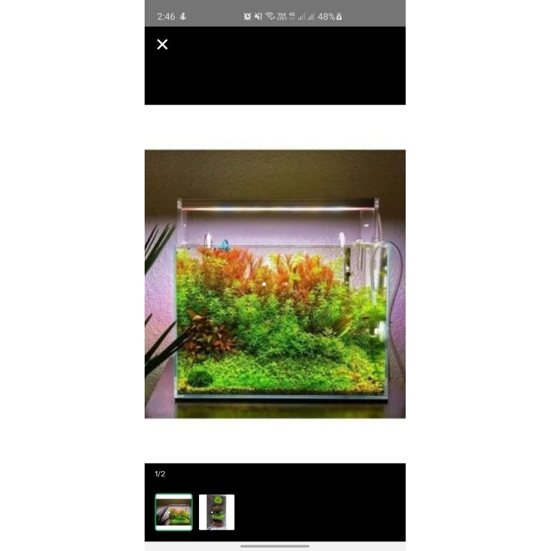 CO² TABLET Per 10 BOTOL co2 tablet co2(10)