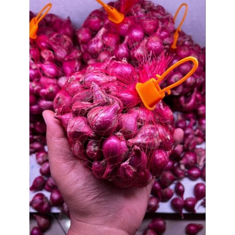 

Bawang Merah Probolinggo 1kg kualitas SUPER murah ukuran SEDANG