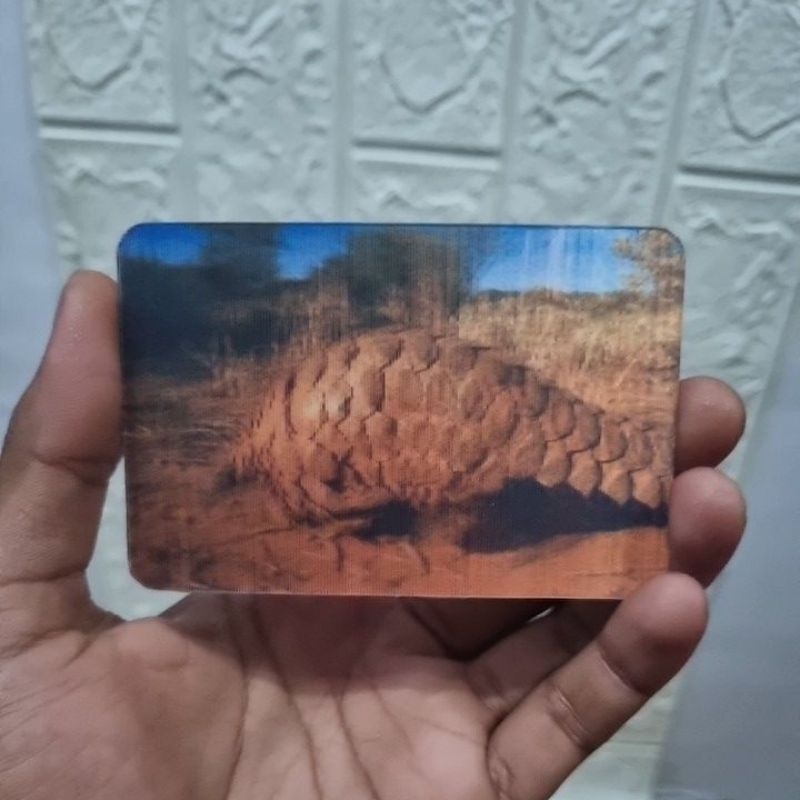 

3D postcard Trenggiling