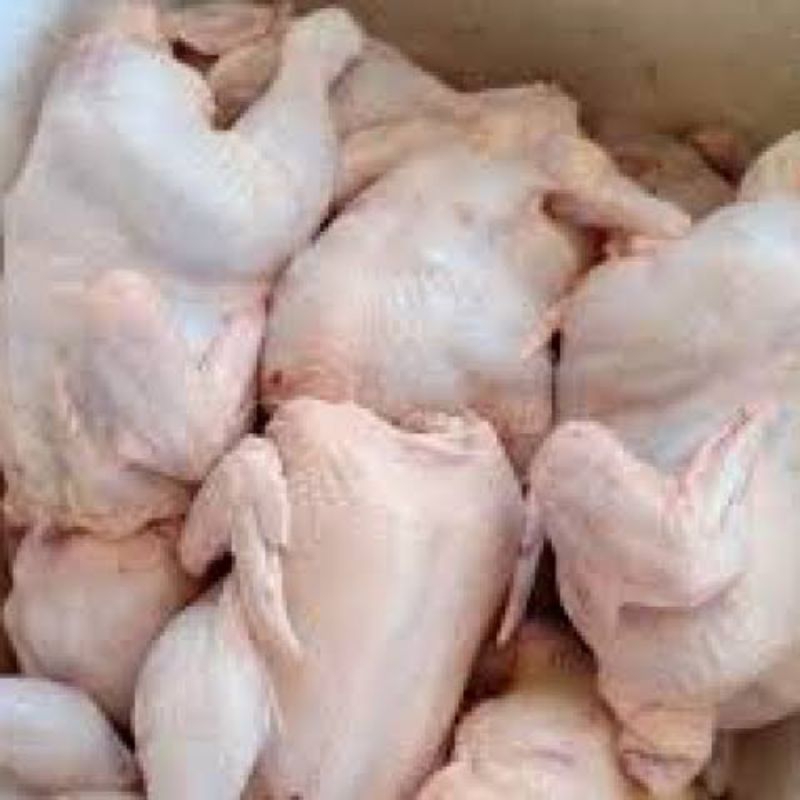 

Ayam potong negri fresh