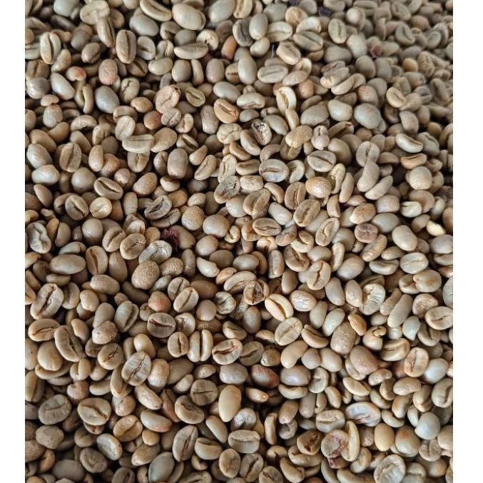 

Biji Kopi Mentah Green Bean Gayo Arabica Natural Process Premium Grade 1
