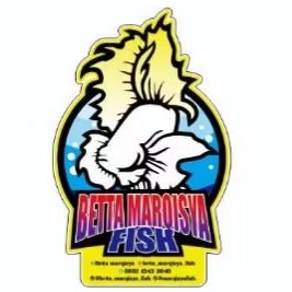 

Stiker Andro grade A++ (jualiwak)By marqisyafishstore