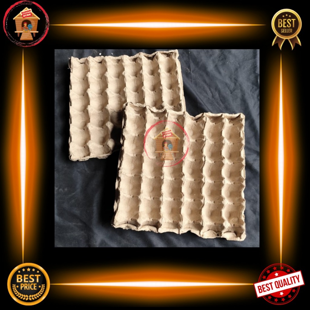 Egg Tray / Wadah Telur / Tempat Telur Berbahan Kertas