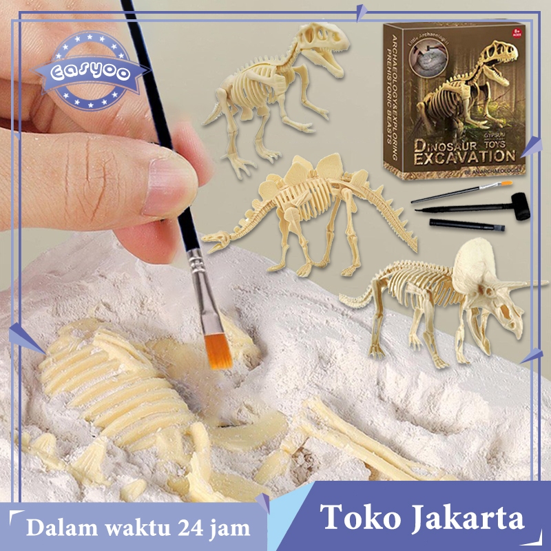1 Set Fosil Dinosaurus Mainan Gali Fosil Arkeologi Mainan Tulang Dinosaurus Anak Education Toys