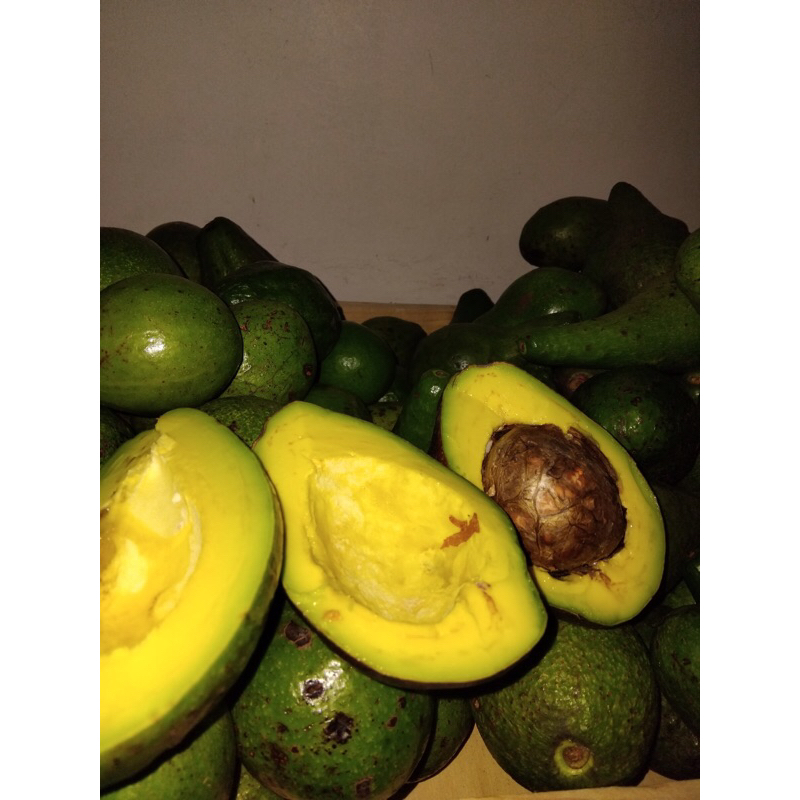 

ALPUKAT MENTEGA PLUWANG