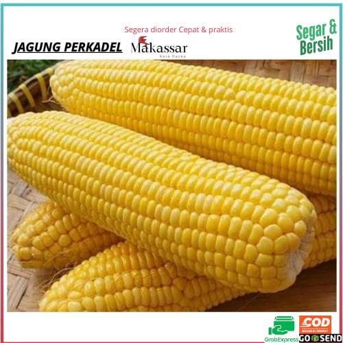 

Jagung Kuning Manis Per-Biji Murah Makassar,jagung segar,jagung berkualitas,sayur segar,jagung perkadel,jagung sayur,buah jagung,sayur makassar,jagung ecer jagung grosir,jagung enak,jagun kuning,jagun segar