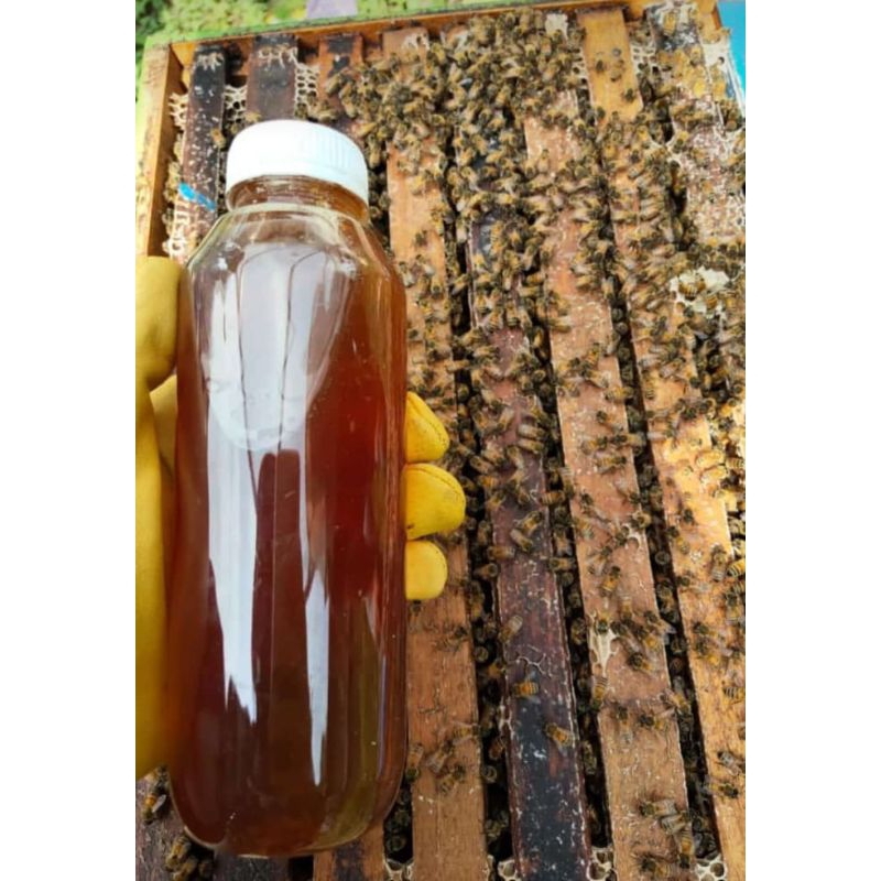 

Madu Murni Mentah/Raw Honey, Azzam Honey
