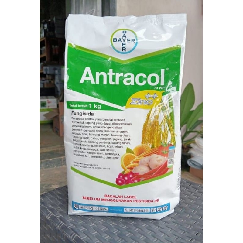 ANTRACOL fungisida 1kg original
