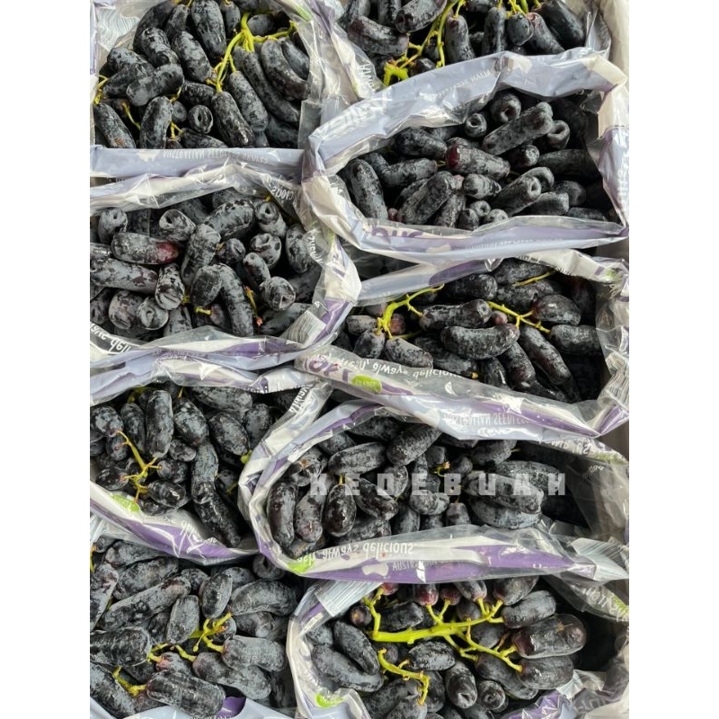 

Anggur Sweet Sapphire Australian Black Seedless