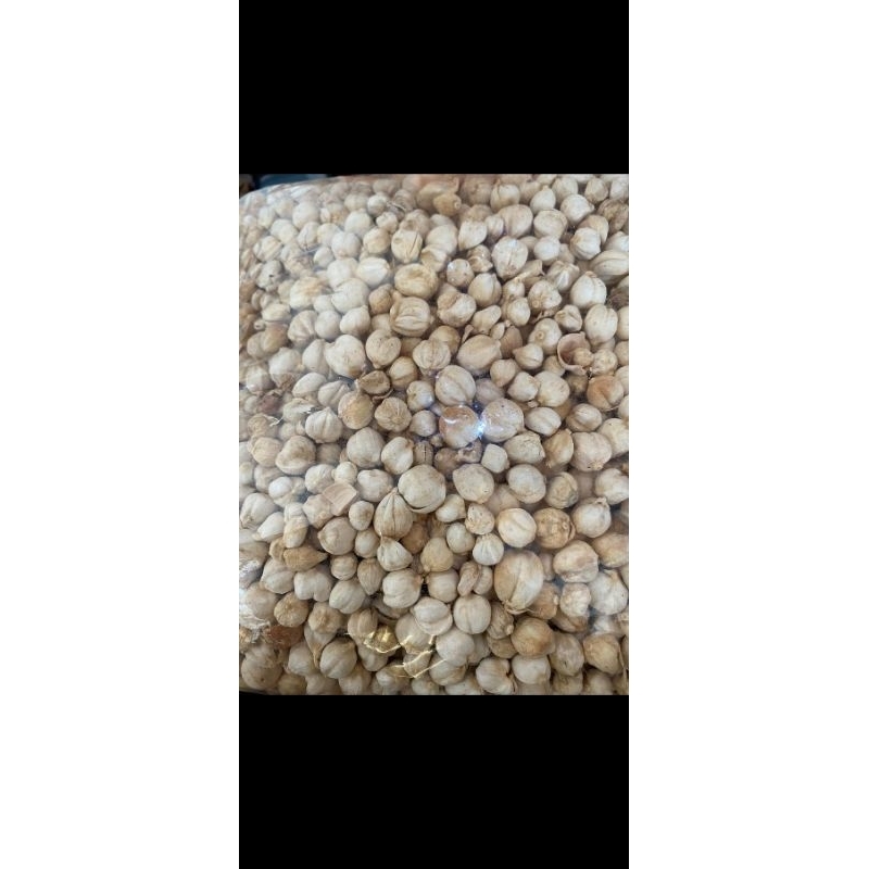 

Kapulaga 250gr/500gr/1kg.