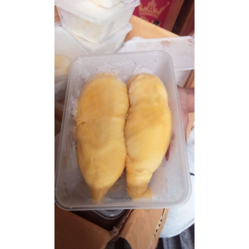 

Durian Montong Bali Singaraja +/- 500 gram