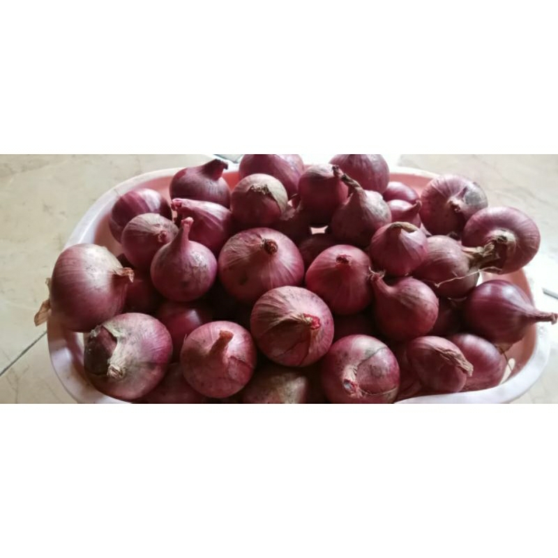 

Bawang merah 1kg
