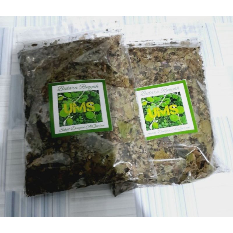 

Teh Daun Bidara Arab Asli Untuk Ruqyah serta Kesehatan
