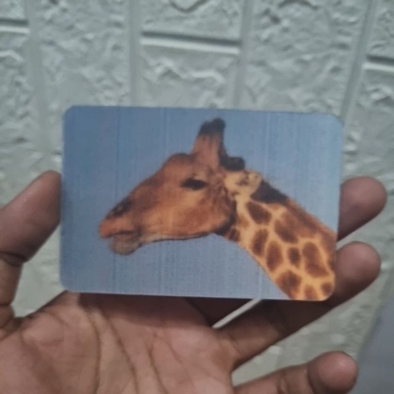 

3D postcard Jerapah