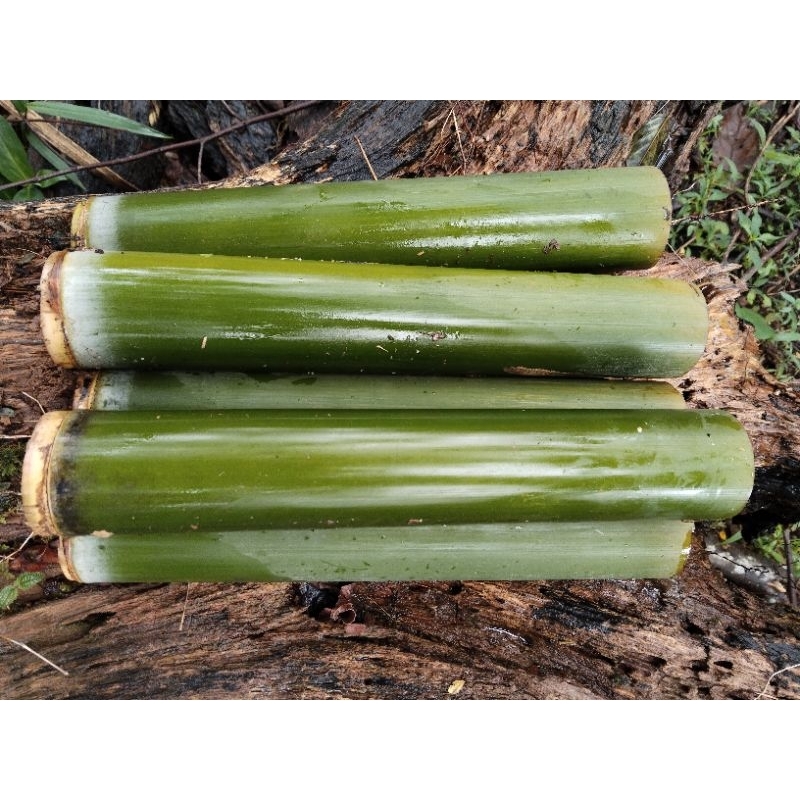 

bambu buluh pilihan* nasi lemeng*40 cm satu pcs