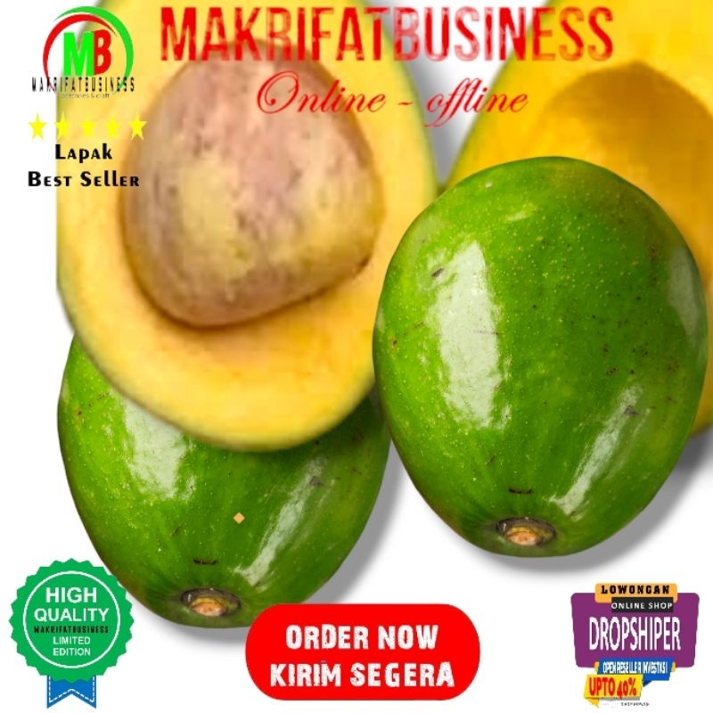

MAKRIFATBUSINESS Paket 1 Kg 2 - 4 Buah APUKAT MIKI MENTEGA Kwalitas Super Asli Langsung Petik Kebun Saat Order