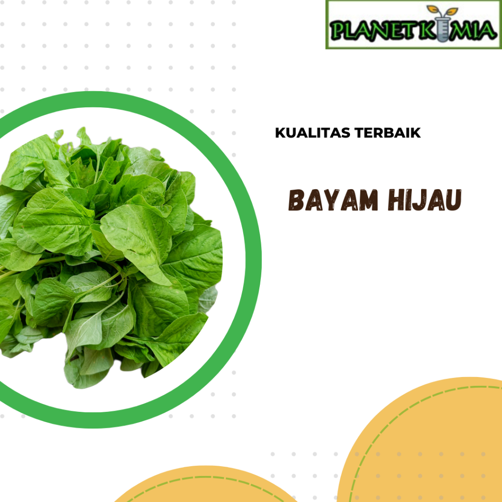 

ekstrak bayam hijau best product