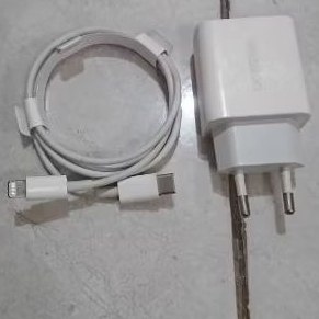 Charger iPhone 13 13 Pro 13 Pro Max Original Copotan UGREEN 20WATT
