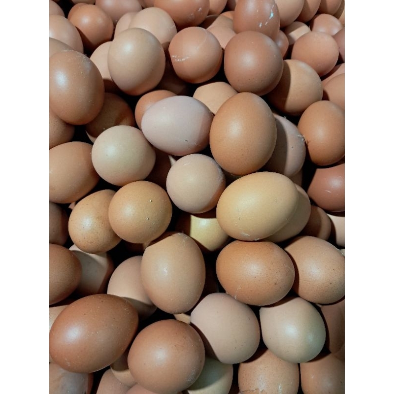 

Telur Ayam 1 kg + FREE BONUS SAYURAN