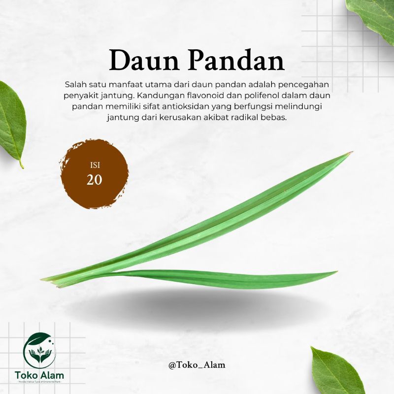 

Daun Pandan 20 Lembar
