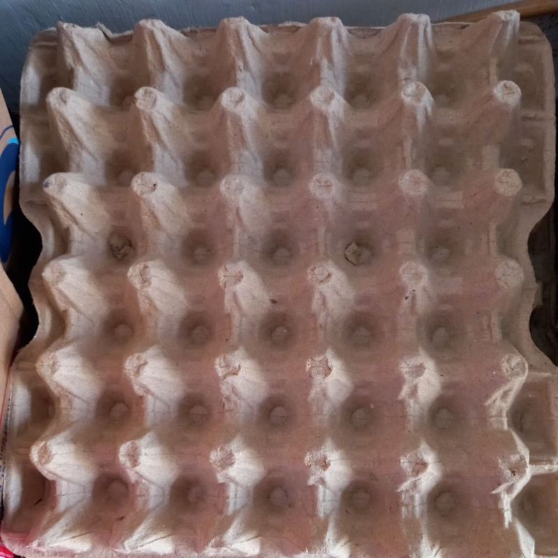 PAPAN TELUR / TRAY BEKAS PAKAI