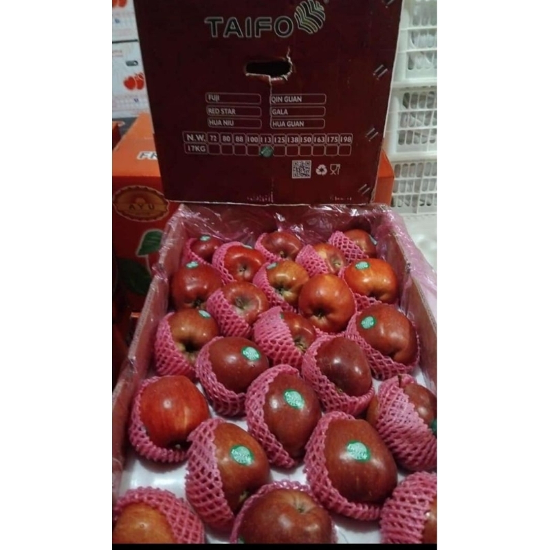 

Indukbuah Apel Merah Hua Niu China 1 Dus ±17kg