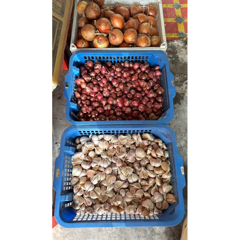 

bawang merah brebes super 1kg