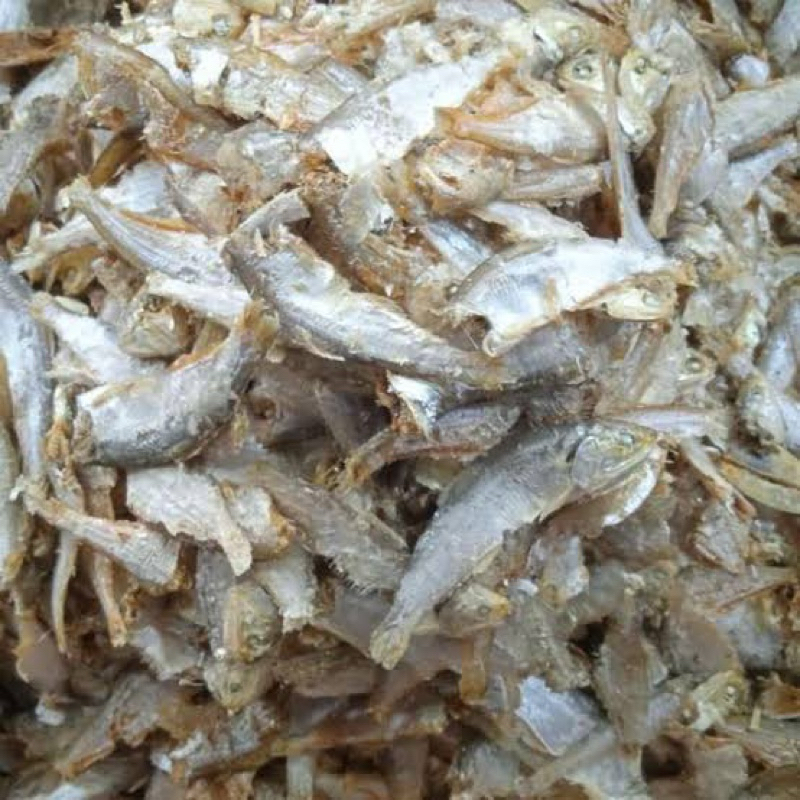

ikan asin / ikan asin sampah / ikan asin medan