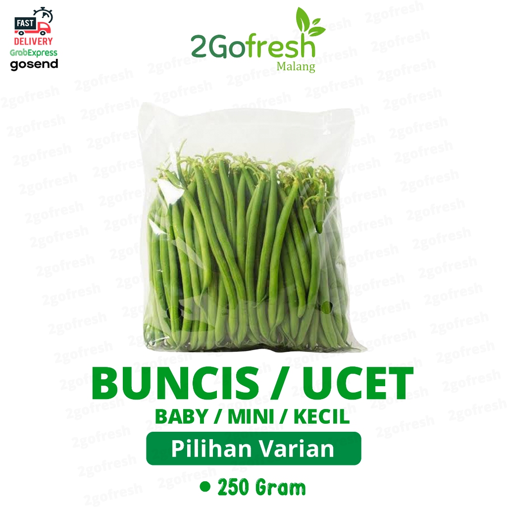 

Buncis Baby / Ucet Baby / Mini Kecil Fresh - Sayur Sayuran
