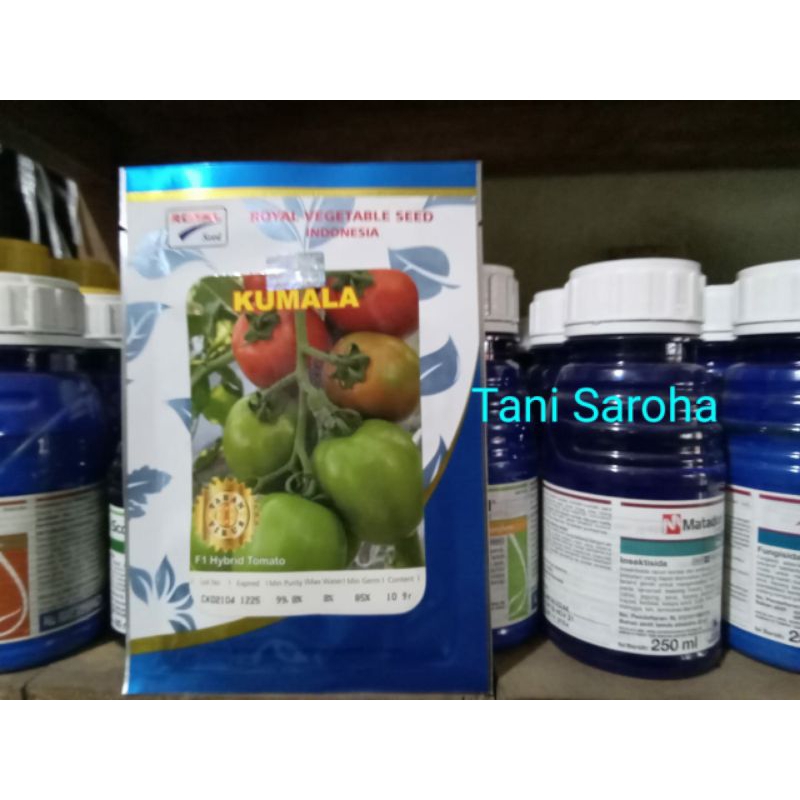BENIH BIBIT TOMAT KUMALA F1 10 GR ROYAL SEED