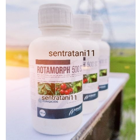 FUNGISIDA SISTEMIK ROTAMORPH 500 SC - 100 ML