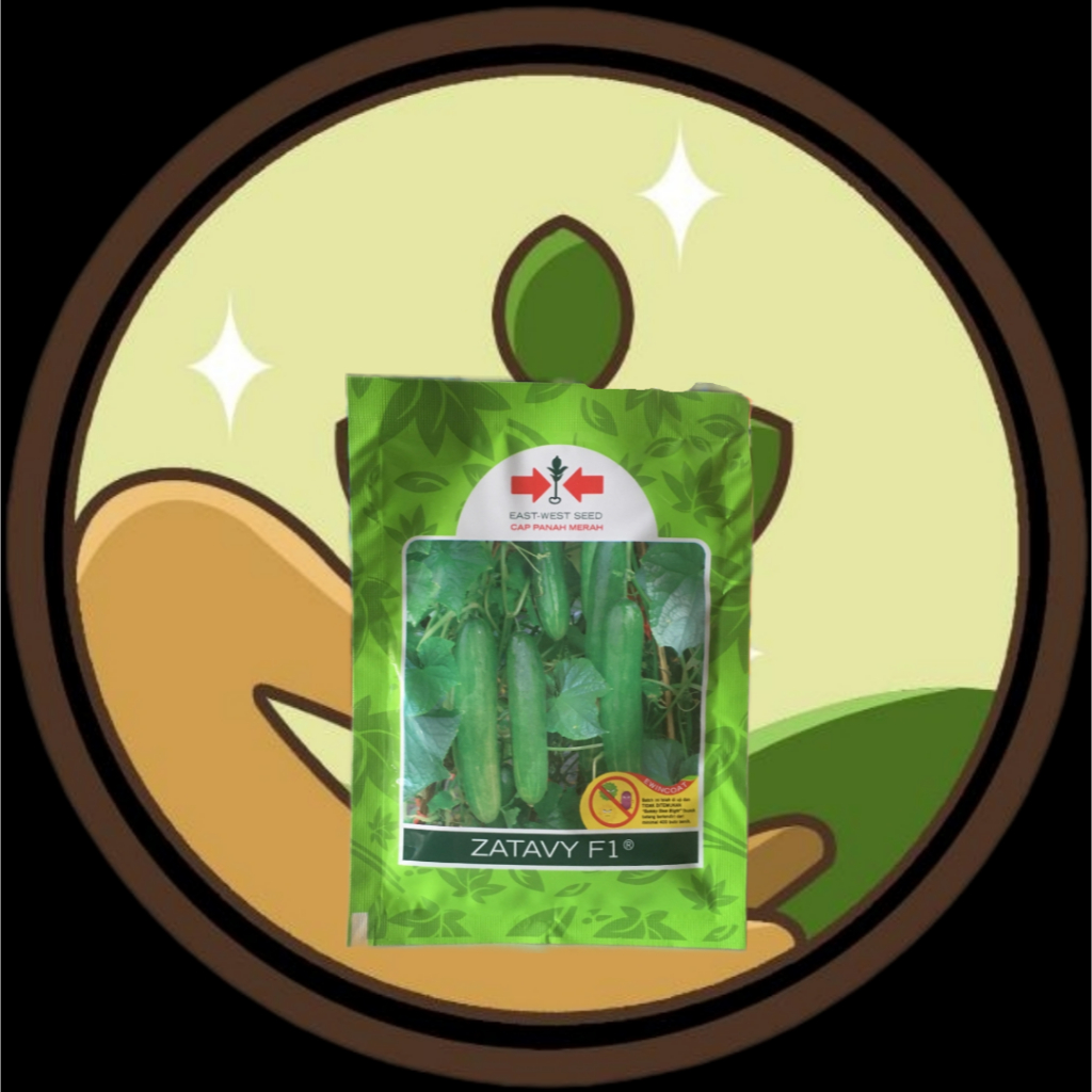 Benih Timun  Zatavy @ 800 Butir