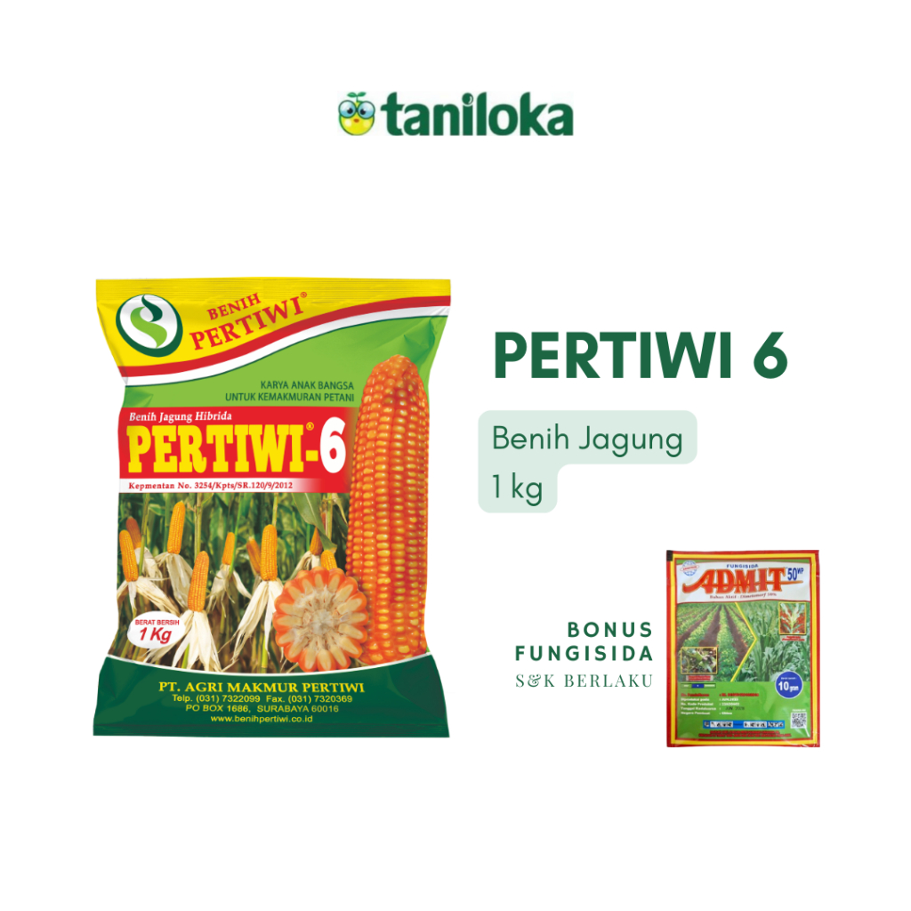 Benih Pertiwi - Benih Jagung Pertiwi 6 (1 Kg)