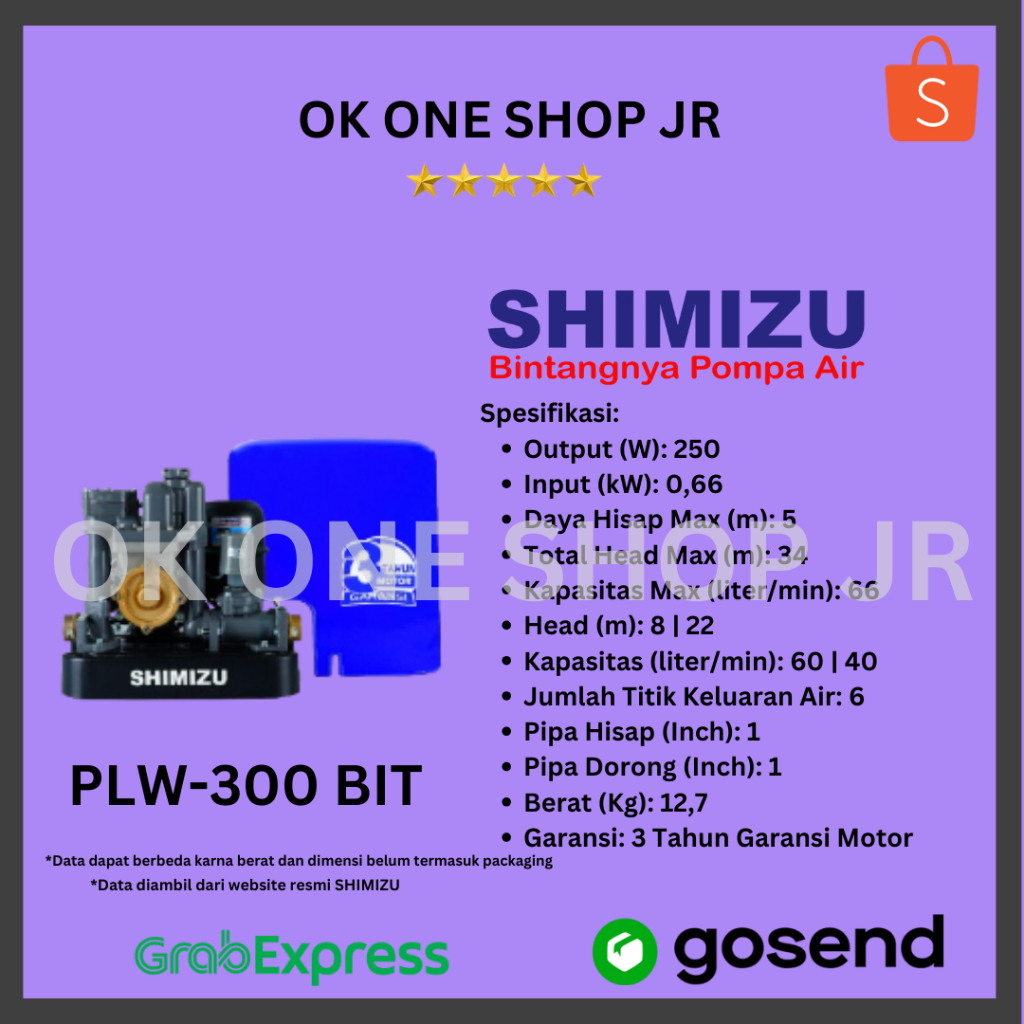 Shimizu Booster Pump PLW-300 BIT